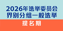 2026年选举委员会界别分组一般选举